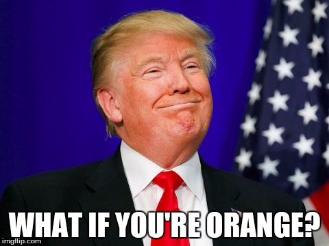 Trump Smile | WHAT IF YOU'RE ORANGE? | image tagged in trump smile | made w/ Imgflip meme maker
