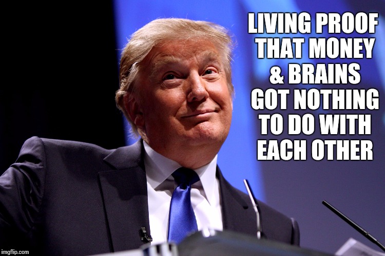 Donald Trump | LIVING PROOF THAT MONEY & BRAINS GOT NOTHING TO DO WITH EACH OTHER | image tagged in donald trump | made w/ Imgflip meme maker