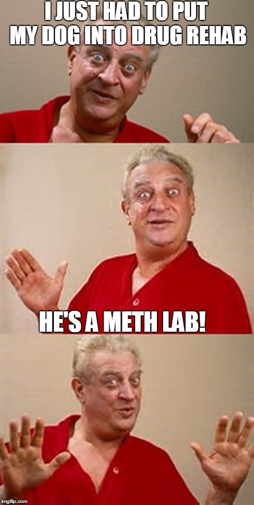 bad pun Dangerfield  | I JUST HAD TO PUT MY DOG INTO DRUG REHAB; HE'S A METH LAB! | image tagged in bad pun dangerfield | made w/ Imgflip meme maker