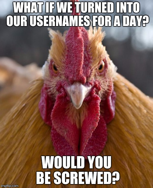 Post below! | WHAT IF WE TURNED INTO OUR USERNAMES FOR A DAY? WOULD YOU BE SCREWED? | image tagged in usernames,chickn,oh dear | made w/ Imgflip meme maker