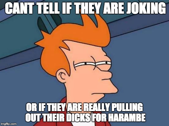 Futurama Fry | CANT TELL IF THEY ARE JOKING; OR IF THEY ARE REALLY PULLING OUT THEIR DICKS FOR HARAMBE | image tagged in memes,futurama fry | made w/ Imgflip meme maker