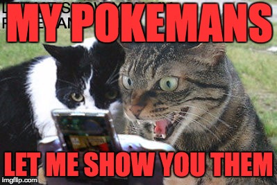 let me show you my pokemans | MY POKEMANS; LET ME SHOW YOU THEM | image tagged in let me show you my pokemans | made w/ Imgflip meme maker