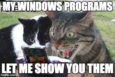my windows hacker style let me show you it | let me show you my pokemans | MY WINDOWS PROGRAMS; LET ME SHOW YOU THEM | image tagged in let me show you my pokemans | made w/ Imgflip meme maker