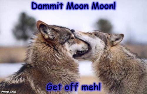 Moon Moon 2 | Dammit Moon Moon! Get off meh! | image tagged in moon moon 2 | made w/ Imgflip meme maker