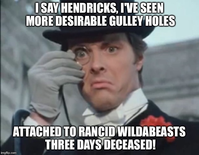Monocle Outrage | I SAY HENDRICKS, I'VE SEEN MORE DESIRABLE GULLEY HOLES; ATTACHED TO RANCID WILDABEASTS THREE DAYS DECEASED! | image tagged in monocle outrage | made w/ Imgflip meme maker