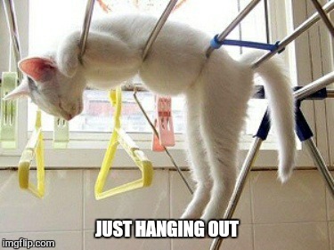 JUST HANGING OUT | made w/ Imgflip meme maker