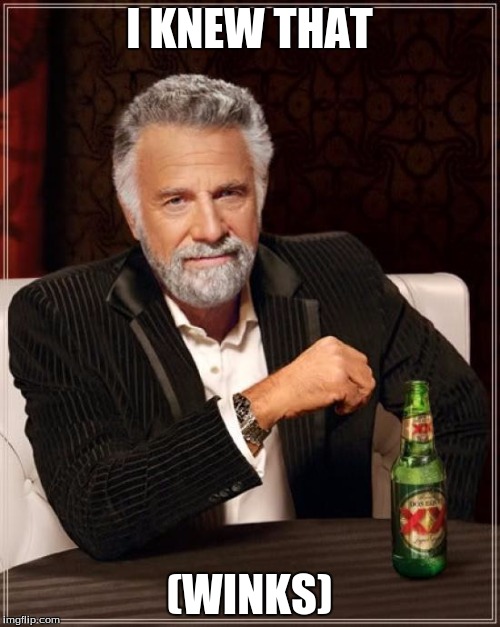 I KNEW THAT (WINKS) | image tagged in memes,the most interesting man in the world | made w/ Imgflip meme maker