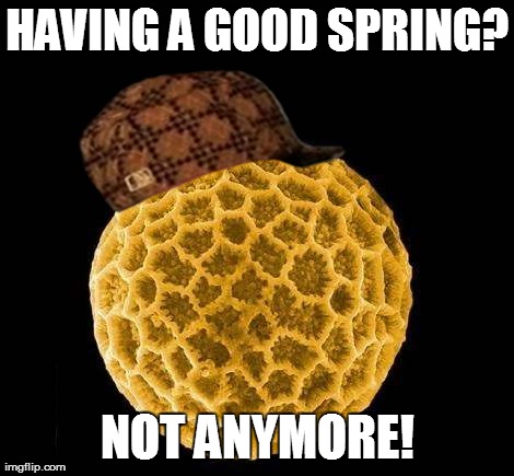 HAVING A GOOD SPRING? NOT ANYMORE! | made w/ Imgflip meme maker