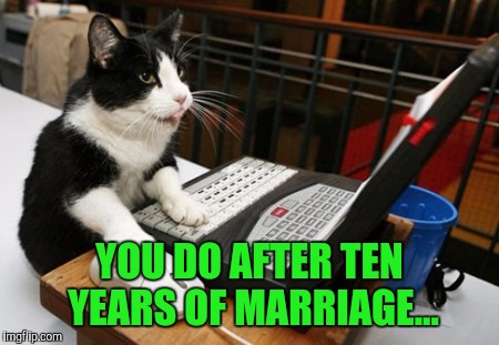 Fact Cat | YOU DO AFTER TEN YEARS OF MARRIAGE... | image tagged in fact cat | made w/ Imgflip meme maker