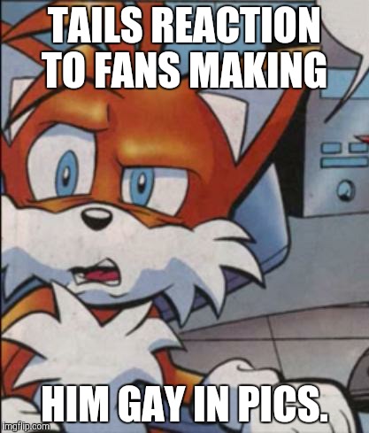 Tails WTF | TAILS REACTION TO FANS MAKING; HIM GAY IN PICS. | image tagged in tails wtf | made w/ Imgflip meme maker