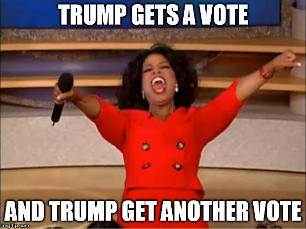 Oprah You Get A Meme | TRUMP GETS A VOTE AND TRUMP GET ANOTHER VOTE | image tagged in memes,oprah you get a | made w/ Imgflip meme maker