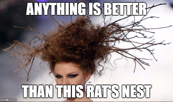 ANYTHING IS BETTER THAN THIS RAT'S NEST | made w/ Imgflip meme maker