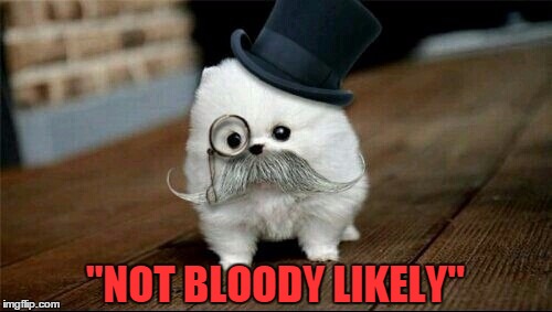 Sophisticated Dog | "NOT BLOODY LIKELY" | image tagged in sophisticated dog | made w/ Imgflip meme maker