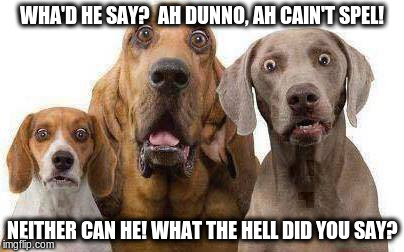 HuhDogs | WHA'D HE SAY?  AH DUNNO, AH CAIN'T SPEL! NEITHER CAN HE! WHAT THE HELL DID YOU SAY? | image tagged in huhdogs | made w/ Imgflip meme maker