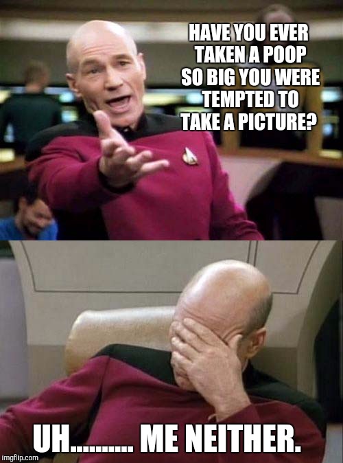 Picard's awkward confession | HAVE YOU EVER TAKEN A POOP SO BIG YOU WERE TEMPTED TO TAKE A PICTURE? UH.......... ME NEITHER. | image tagged in picard wtf and facepalm combined,big poop,picard,awkward,take a picture | made w/ Imgflip meme maker