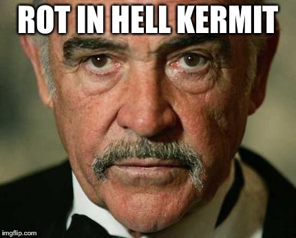 Yes... I've changed sides! Rot in hell, Kermit! | ROT IN HELL KERMIT | image tagged in sean connery angry,meme war,kermit vs connery | made w/ Imgflip meme maker