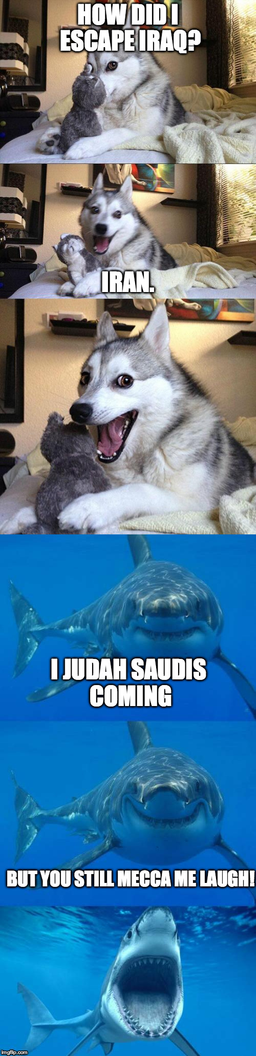 HOW DID I ESCAPE IRAQ? IRAN. I JUDAH SAUDIS COMING; BUT YOU STILL MECCA ME LAUGH! | image tagged in bad pun dog,bad shark pun | made w/ Imgflip meme maker