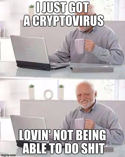 It's alright Harold just hide the pain | I JUST GOT A CRYPTOVIRUS; LOVIN' NOT BEING ABLE TO DO SHIT | image tagged in memes,hide the pain harold,virus,computer virus | made w/ Imgflip meme maker