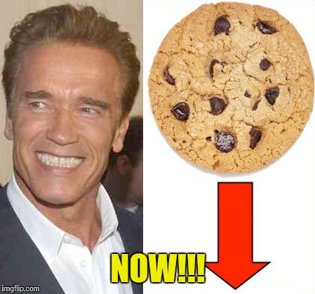 Need I say more? | NOW!!! | image tagged in memes | made w/ Imgflip meme maker