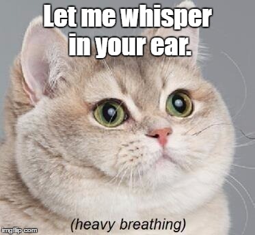 I hope this isn't another meme. | Let me whisper in your ear. | image tagged in memes,heavy breathing cat | made w/ Imgflip meme maker