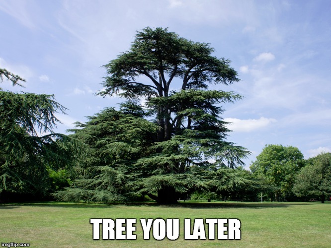 TREE YOU LATER | made w/ Imgflip meme maker