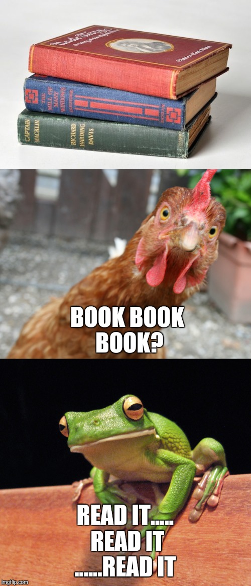Book  | BOOK BOOK BOOK? READ IT..... READ IT ......READ IT | image tagged in chicken,frog,meme | made w/ Imgflip meme maker