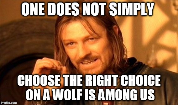 One Does Not Simply Meme | ONE DOES NOT SIMPLY; CHOOSE THE RIGHT CHOICE ON A WOLF IS AMONG US | image tagged in memes,one does not simply | made w/ Imgflip meme maker