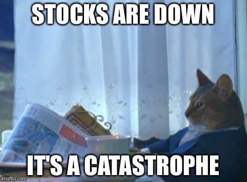 I Should Buy A Boat Cat | STOCKS ARE DOWN; IT'S A CATASTROPHE | image tagged in memes,i should buy a boat cat | made w/ Imgflip meme maker