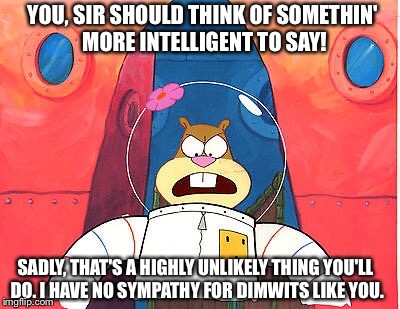 You, Sir Should Think Of Somethin' More Intelligent Thing To Say! | YOU, SIR SHOULD THINK OF SOMETHIN' MORE INTELLIGENT TO SAY! SADLY, THAT'S A HIGHLY UNLIKELY THING YOU'LL DO. I HAVE NO SYMPATHY FOR DIMWITS LIKE YOU. | image tagged in sandy cheeks,memes,spongebob squarepants,texas girl,funny | made w/ Imgflip meme maker