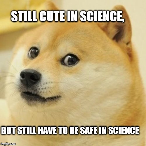 Doge | STILL CUTE IN SCIENCE, BUT STILL HAVE TO BE SAFE IN SCIENCE | image tagged in memes,doge | made w/ Imgflip meme maker