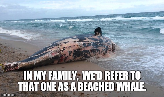 IN MY FAMILY,  WE'D REFER TO THAT ONE AS A BEACHED WHALE. | made w/ Imgflip meme maker