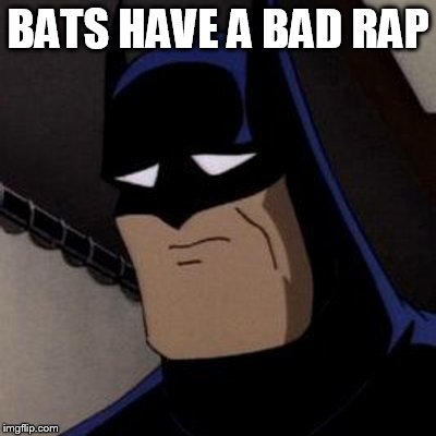 Sad Batman | BATS HAVE A BAD RAP | image tagged in sad batman | made w/ Imgflip meme maker