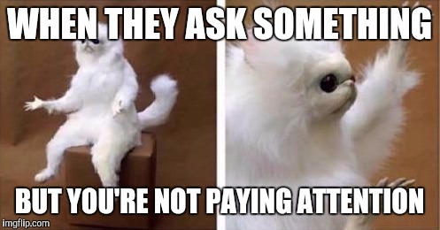White monkey | WHEN THEY ASK SOMETHING; BUT YOU'RE NOT PAYING ATTENTION | image tagged in white monkey | made w/ Imgflip meme maker