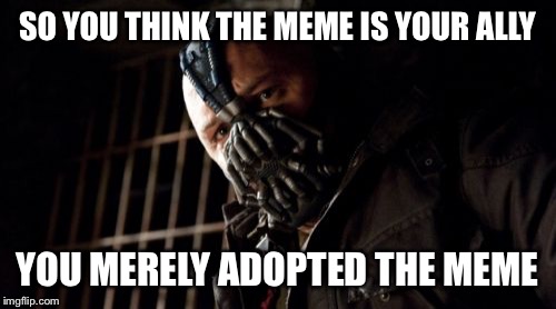 Permission Bane | SO YOU THINK THE MEME IS YOUR ALLY; YOU MERELY ADOPTED THE MEME | image tagged in memes,permission bane | made w/ Imgflip meme maker