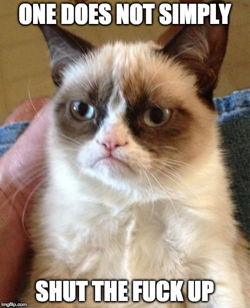 Grumpy Cat Meme | ONE DOES NOT SIMPLY SHUT THE F**K UP | image tagged in memes,grumpy cat | made w/ Imgflip meme maker