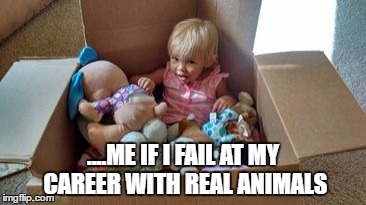 Living in a Cardboard Box | ....ME IF I FAIL AT MY CAREER WITH REAL ANIMALS | image tagged in funny,failure,animal | made w/ Imgflip meme maker