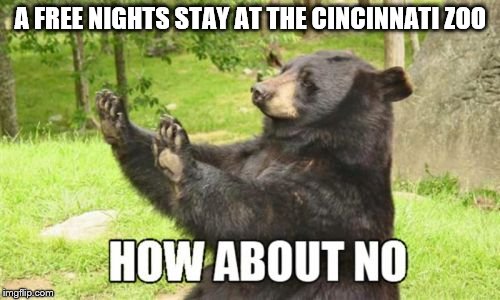 How About No Bear | A FREE NIGHTS STAY AT THE CINCINNATI ZOO | image tagged in memes,how about no bear | made w/ Imgflip meme maker