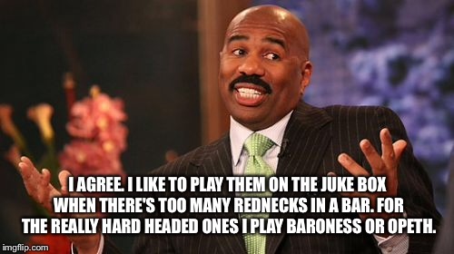 Steve Harvey Meme | I AGREE. I LIKE TO PLAY THEM ON THE JUKE BOX WHEN THERE'S TOO MANY REDNECKS IN A BAR. FOR THE REALLY HARD HEADED ONES I PLAY BARONESS OR OPE | image tagged in memes,steve harvey | made w/ Imgflip meme maker