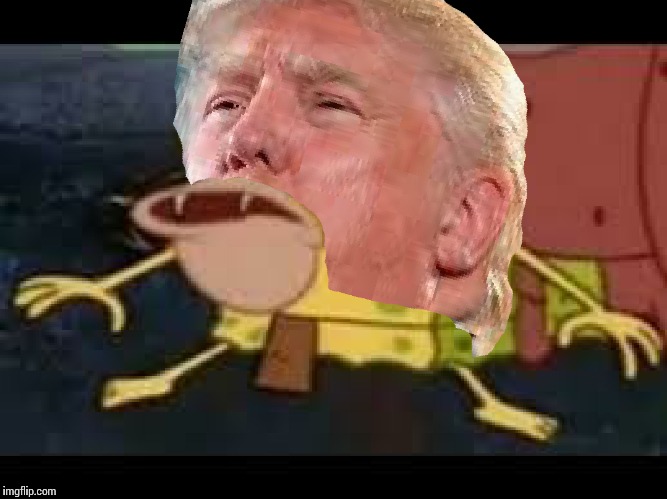 Trumpgar | image tagged in trump,spongegar | made w/ Imgflip meme maker