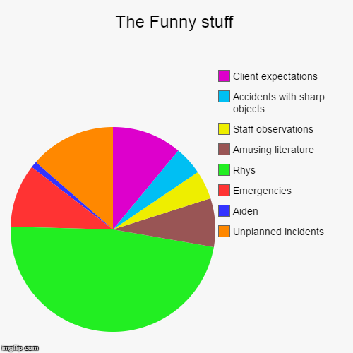 image tagged in funny,pie charts | made w/ Imgflip chart maker