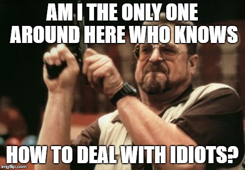 Am I The Only One Around Here Meme | AM I THE ONLY ONE AROUND HERE WHO KNOWS HOW TO DEAL WITH IDIOTS? | image tagged in memes,am i the only one around here | made w/ Imgflip meme maker