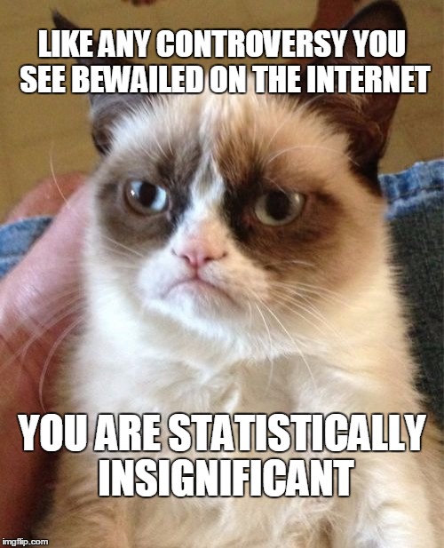 GRUMP CAT KNOWS IT'S ALL ABOUT STATISTICS,  REALLY | LIKE ANY CONTROVERSY YOU SEE BEWAILED ON THE INTERNET; YOU ARE STATISTICALLY INSIGNIFICANT | image tagged in memes,grumpy cat,disapproving grumpy cat | made w/ Imgflip meme maker