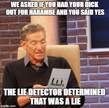 Maury Lie Detector | WE ASKED IF YOU HAD YOUR DICK OUT FOR HARAMBE AND YOU SAID YES; THE LIE DETECTOR DETERMINED THAT WAS A LIE | image tagged in memes,maury lie detector | made w/ Imgflip meme maker