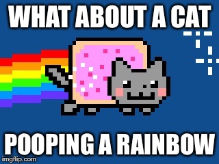 WHAT ABOUT A CAT POOPING A RAINBOW | made w/ Imgflip meme maker