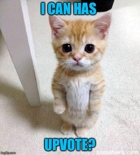 Pease... | I CAN HAS; UPVOTE? | image tagged in memes,cute cat,upvote | made w/ Imgflip meme maker