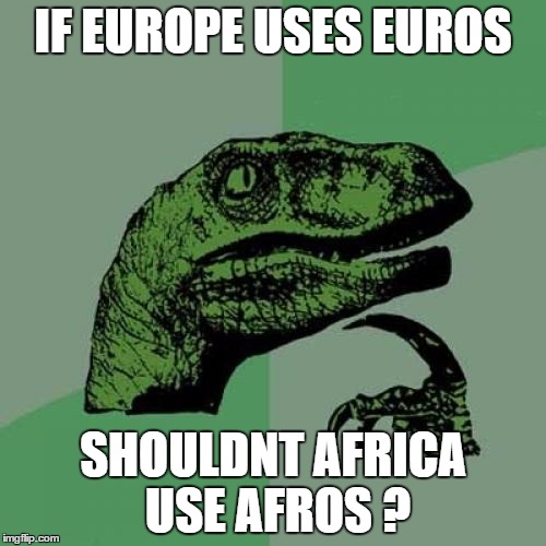 African Afros | IF EUROPE USES EUROS; SHOULDNT AFRICA USE AFROS
? | image tagged in memes,philosoraptor | made w/ Imgflip meme maker