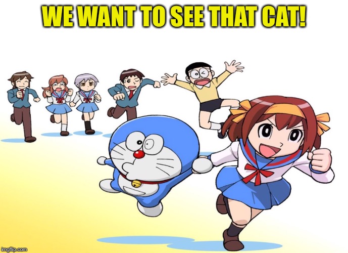 ASIAN CAT CARTOON | WE WANT TO SEE THAT CAT! | image tagged in asian cat cartoon | made w/ Imgflip meme maker