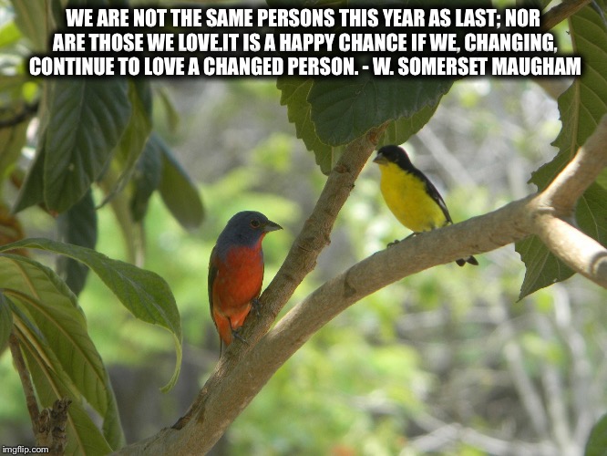 W Somerset Maughm | WE ARE NOT THE SAME PERSONS THIS YEAR AS LAST; NOR ARE THOSE WE LOVE.IT IS A HAPPY CHANCE IF WE, CHANGING, CONTINUE TO LOVE A CHANGED PERSON. - W. SOMERSET MAUGHAM | image tagged in friendship | made w/ Imgflip meme maker