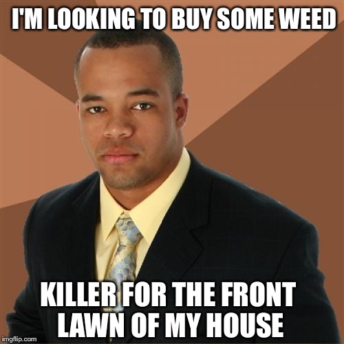 Successful Black Man Meme | I'M LOOKING TO BUY SOME WEED; KILLER FOR THE FRONT LAWN OF MY HOUSE | image tagged in memes,successful black man | made w/ Imgflip meme maker