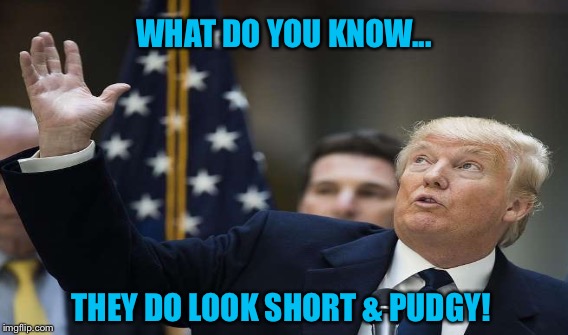 Body Parts Are Important | WHAT DO YOU KNOW... THEY DO LOOK SHORT & PUDGY! | image tagged in donald trump | made w/ Imgflip meme maker